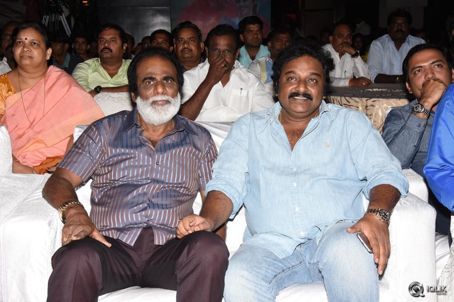 Rayudu-Movie-Audio-Launch